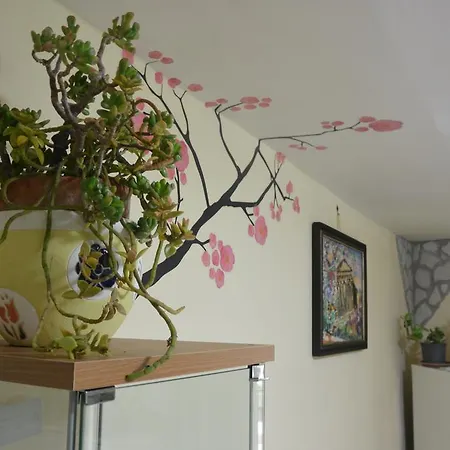 Nocleg ze śniadaniem Alfa Quadro