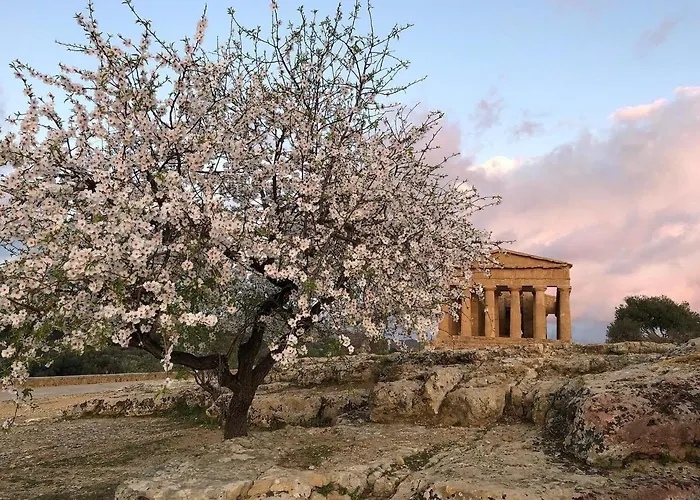 Alfa Quadro Agrigento