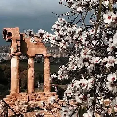 Alfa Quadro * Agrigento
