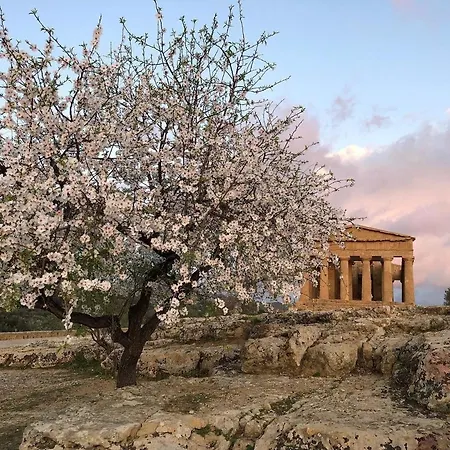 Alfa Quadro Agrigento