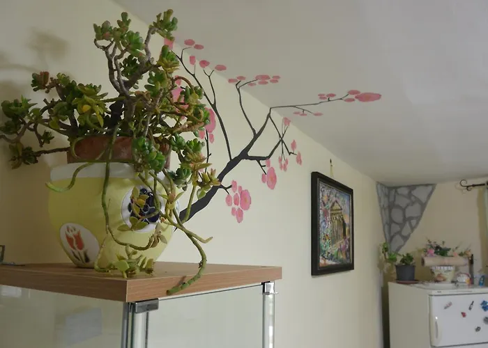 Bed and breakfast Alfa Quadro